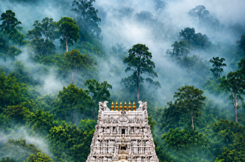 Tirumala temple surrounded by lush green misty mountains, with “TIRUMALA” title and Maharashtra Views logo at the top left.